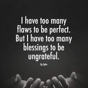 Meet your Posher, Bradley